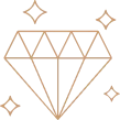 USP Icon